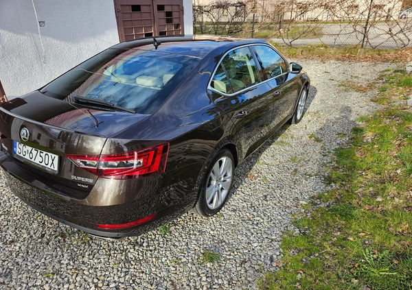 Skoda Superb cena 96900 przebieg: 142000, rok produkcji 2017 z Łęknica małe 191